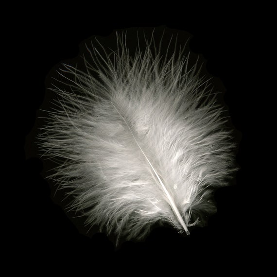 Turkey Feathers, White Loose Turkey Marabou Feathers, Short and Soft Fluffy  Down, Craft and Fly Fishing Supply Feathers ZUCKER® 