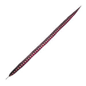 May include: A long, slender feather with a dark brown stem and a pattern of alternating pink and dark brown segments. The feather tapers to a fine point and is isolated on a white background.