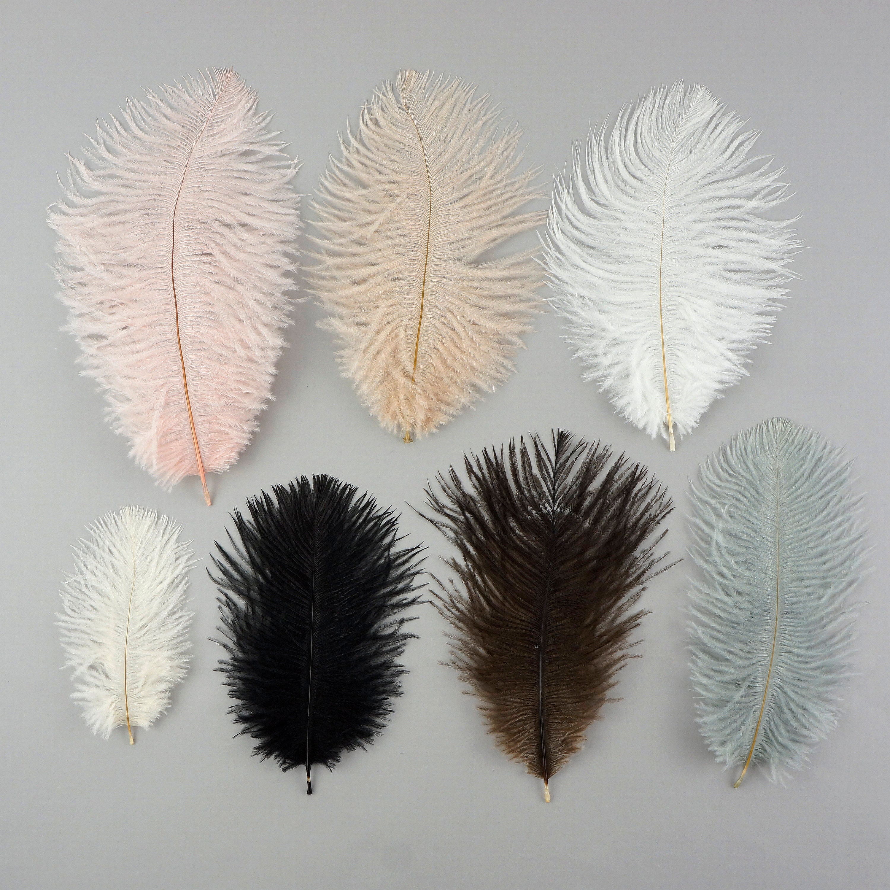 Bulk Ostrich Feathers 48 Pink CHAMPAGNE Blush, Mini Ostrich Drabs