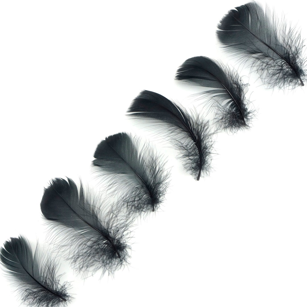 Zucker Feather - Turkey Marabou Swan Boas - Regal