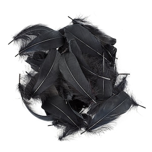 Goose Nagoire Feathers, 4-6&quot; Black Loose Goose Nagoire Feathers, Small Feathers, Arts and Craft Supplies ZUCKER®