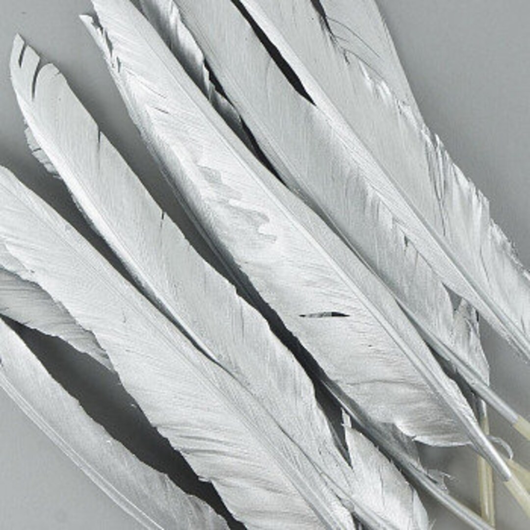 10 Pieces - Natural White Goose Pointers Long Primaries Wing Feathers
