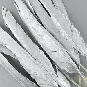 May include: A bunch of white feathers, approximately 10 inches long, with a natural, slightly textured appearance.