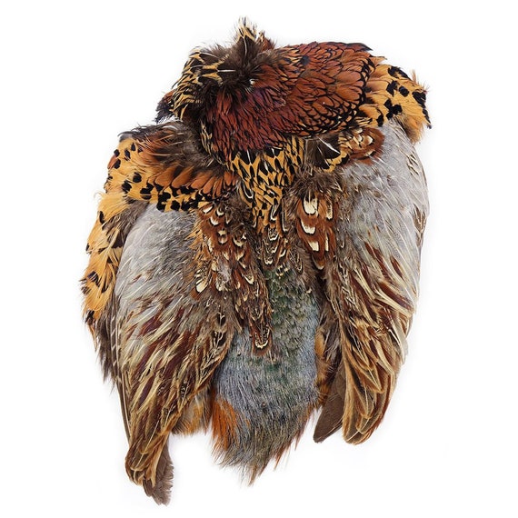 Full Ringneck Pheasant Skin Pelt Wings Tail Feathers Genuine Natural Taxidermy Full Ringneck Pheasant Skin Pelt Wings Tail Feathers Genuine Natural Taxidermy