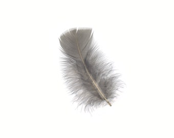 Turkey Feathers, Grey Loose Turkey Plumage Feathers, Short T-Base Body Feathers for Craft and Fly Fishing Supply ZUCKER®