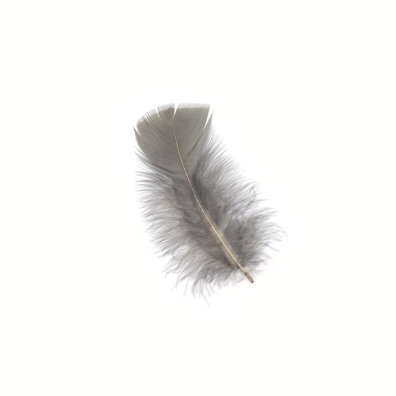 Loose clearance ostrich feathers
