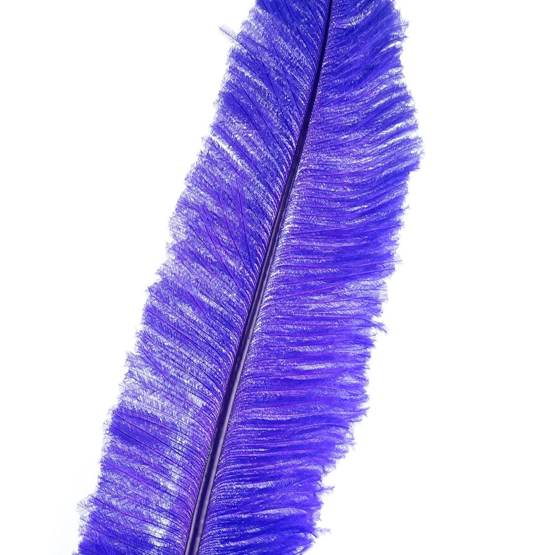 White Ostrich Feather Spads Selected  Wholesale Craft Feathers – Zucker  Feather Products, Inc.