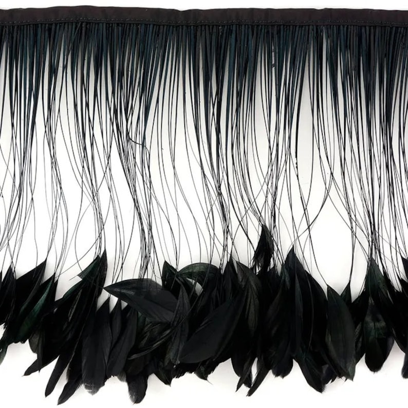 May include: Black feather fringe trim with a black satin header. The fringe features long, thin, and wispy feathers, with larger, more solid feathers at the base. This trim is suitable for various craft and design projects.