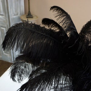 Ostrich Feathers 17-20&quot; BLACK, 1 to 25 pcs, Ostrich Plumes, Carnival Samba, Ostrich Drab, Mardi Gras, Centerpieces, Feather Fan ZUCKER® USA