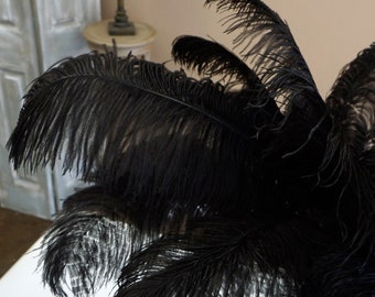 Ostrich Feathers 17-20" BLACK, 1 to 25 pcs, Ostrich Plumes, Carnival Samba, Ostrich Drab, Mardi Gras, Centerpieces, Feather Fan ZUCKER® USA