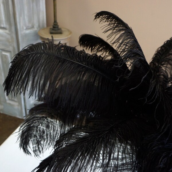 Ostrich Feathers 17-20" BLACK, 1 to 25 pcs, Ostrich Plumes, Carnival Samba, Ostrich Drab, Mardi Gras, Centerpieces, Feather Fan ZUCKER® USA