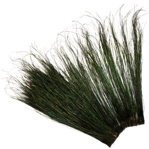 Peacock Flue, 14-16" NATURAL Iridescent Green Peacock Flue, Super Long Peacock Herl Feathers ZUCKER®