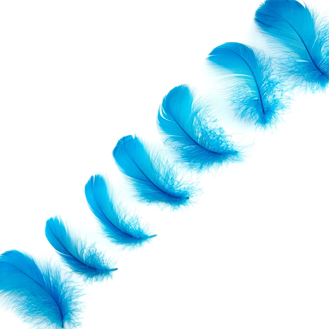 Goose Coquille Feathers 35 Dark Turquoise Loose Goose Etsy