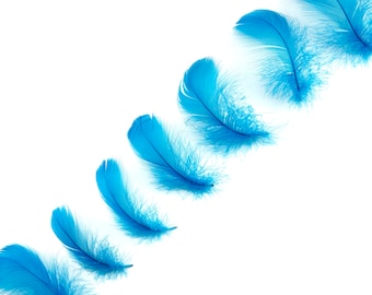 Goose Coquille Feathers, 3-5" Dark Turquoise Loose Goose Feathers, Small Feathers, Arts and Craft Supplies ZUCKER®