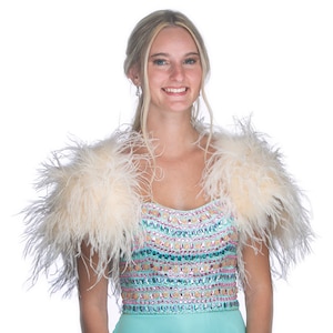 May include: A white feather boa shawl with a light blue and pink sequined bodice.