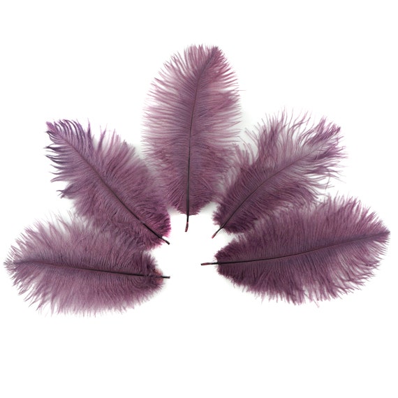 Buy Bulk Ostrich Feathers 4-8 AMETHYST Purple, Mini Ostrich Drabs