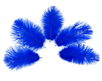 Ostrich Feathers 4-8" ROYAL, Mini Ostrich Drabs, Floral Bouquets, Boutonnieres, Small Centerpieces, Hat Trims, ZUCKER®