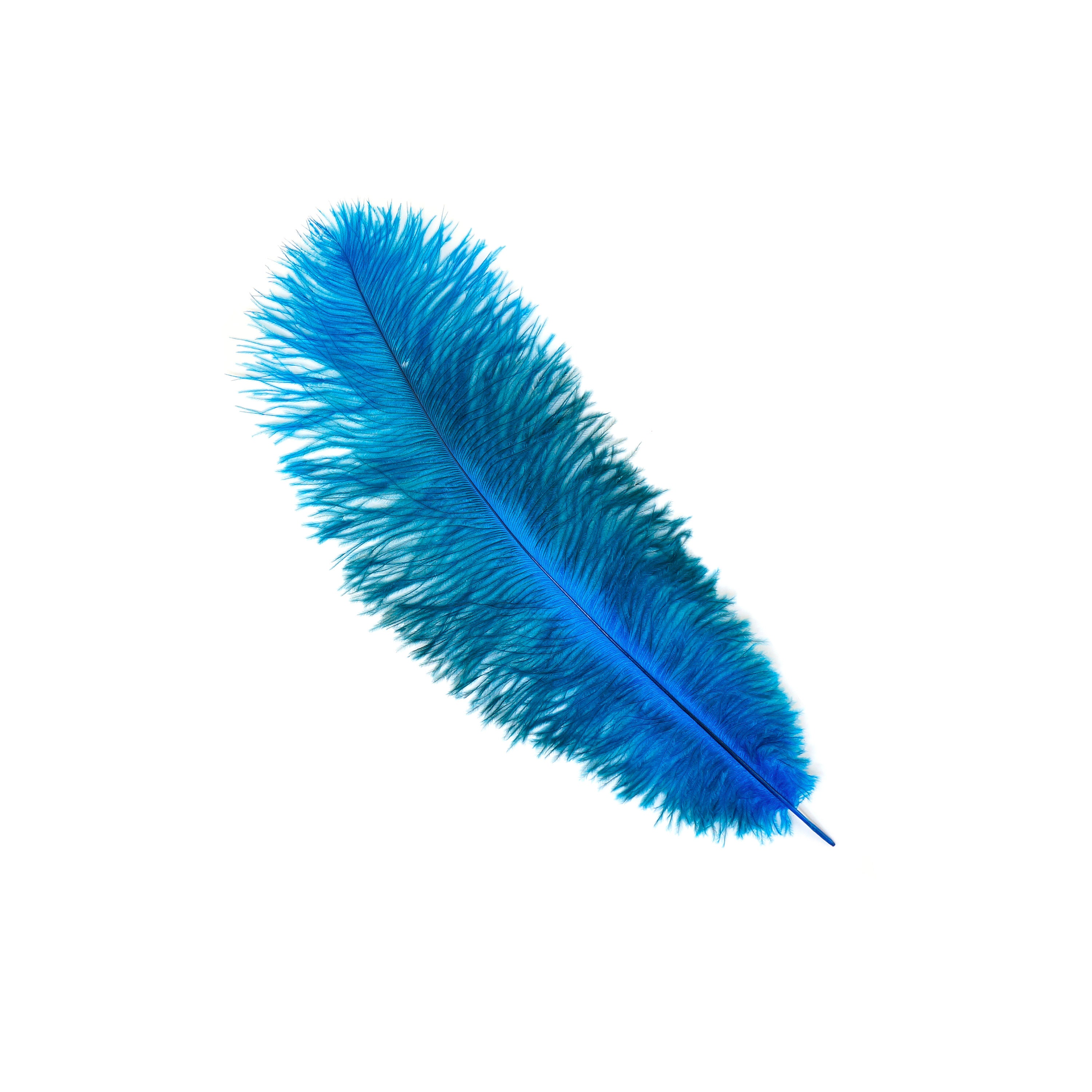 TURQUOISE 10-15 Ostrich Floss Feather 50PCS For Floral Bouquets, Small ...