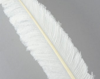 Ostrich Nandu Feathers, White Ostrich Feather Nandus 13-24", Wholesale Carnival & Costume Feathers ZUCKER®