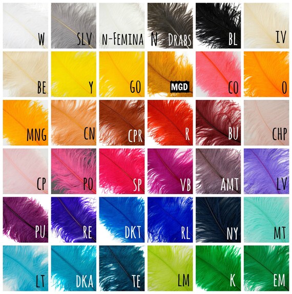 Neon cheap ostrich feathers