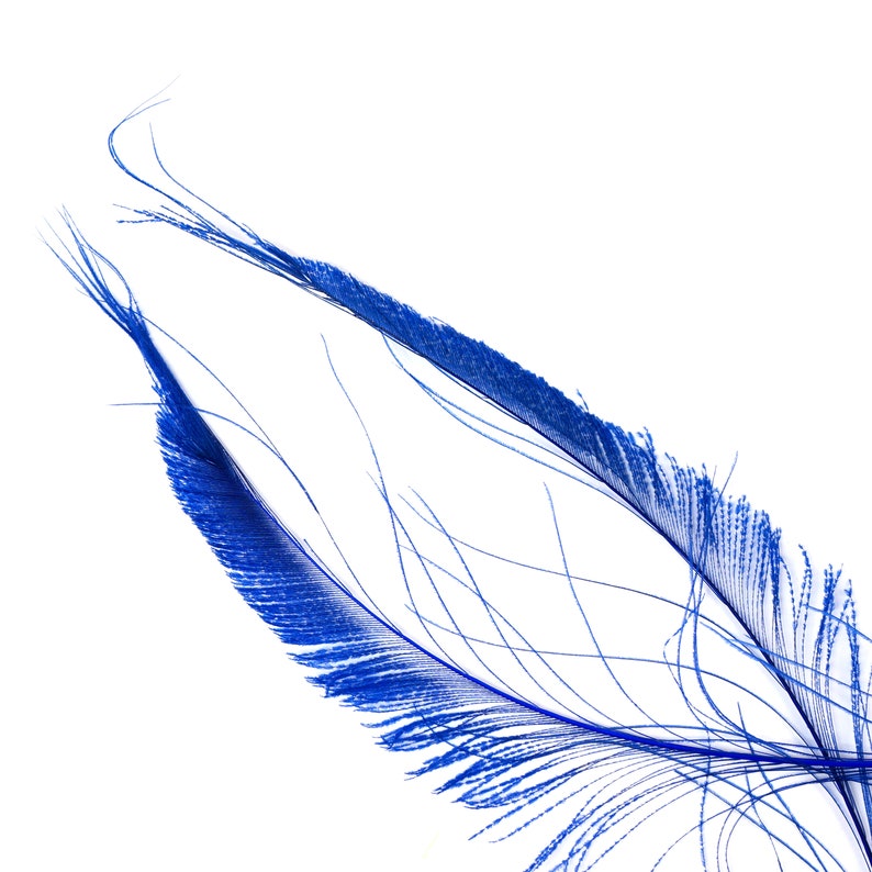 Bleach Dyed Peacock Sword Feathers 10 to 100 Pieces Etsy