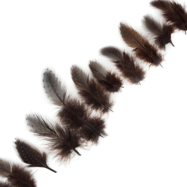 Guinea Feathers, Dyed Brown 1-4” Guinea Hen Polka Dot Loose Plumage Feathers & Craft Supply ZUCKER®