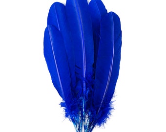 Royal Dyed Turkey Quill Feathers, Bulk Turkey Quills 8-12” for Cosplay, Carnival, Costume, Millinery, Dream Catchers, Art & Craft ZUCKER®