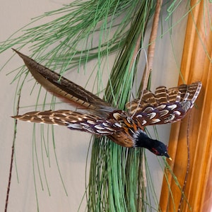 Decorative Pheasant Ornament, Holiday Pheasant Ornament, Fall Thanksgiving Decor, Unique Holiday Decorative Feather Ornaments ZUCKER®