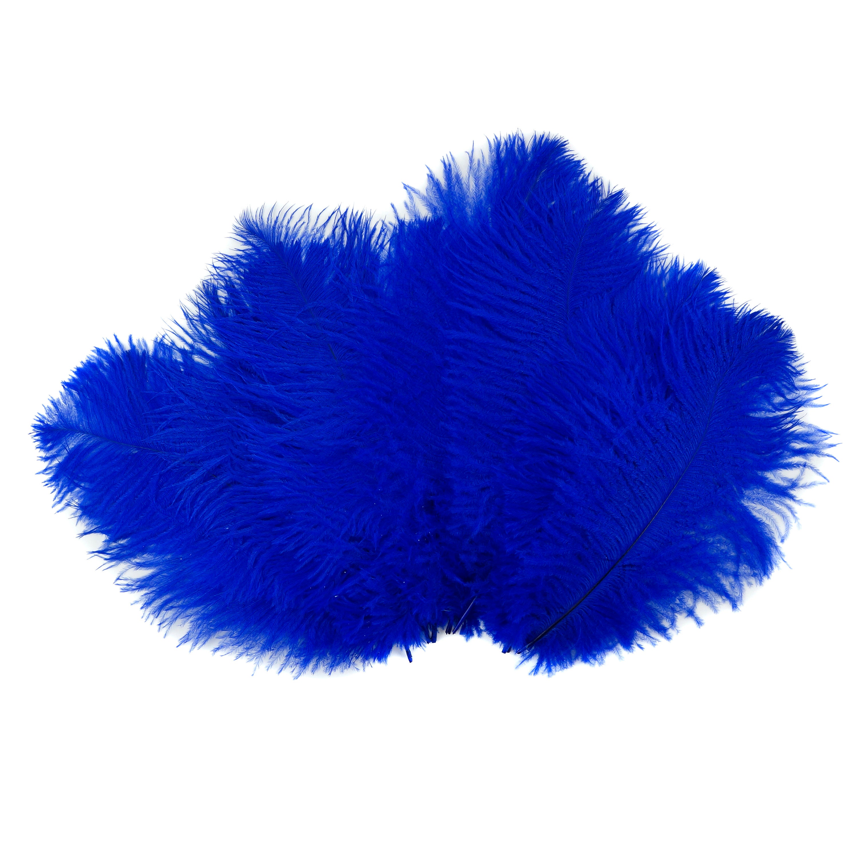 Blue Feathers, 20 Pieces 12-18 Royal Blue Mini Ostrich Spads Chick