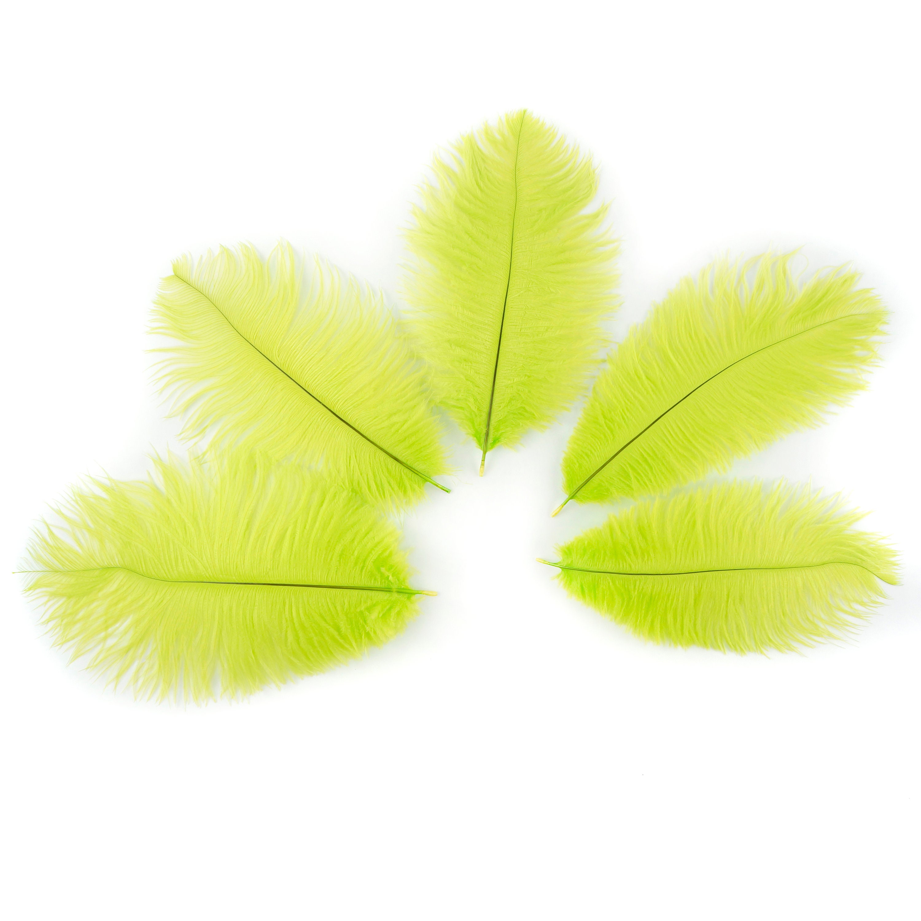 Ostrich Feathers 912 LIME Green, Ostrich Drabs, Centerpiece Floral