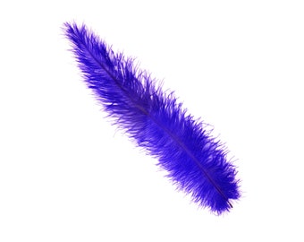 REGAL 10-15" Ostrich Floss Feathers 50PCS For Floral Bouquets, Small Feather Centerpieces, Party Decor, Millinery, Costume Design ZUCKER®