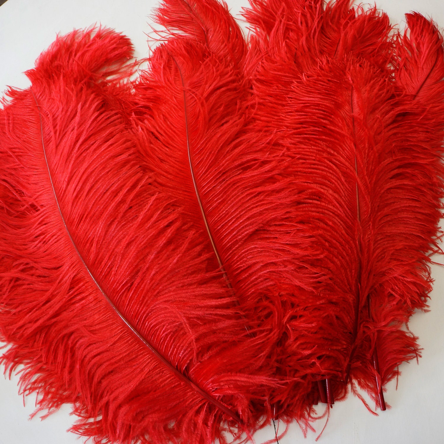 Ostrich Feathers 1720 RED, 1 to 25 pcs, Ostrich Plumes, Carnival Samba