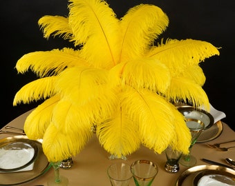 Ostrich Feathers 13-16" YELLOW - For Feather Centerpieces, Party Decor, Millinery, Carnival, Fashion & Costume ZUCKER®