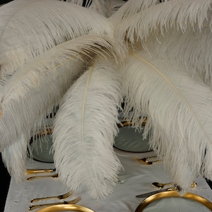 Large Ostrich Feathers 17-25, 1 to 25 Pieces Prime Ostrich Femina Wing Plumes WHITE, Wedding Centerpiece, Carnival Feathers ZUCKER® USA