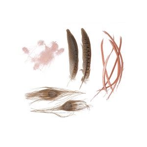 Peacock - faisán - Goose Mix - CHP - GIRD - N
