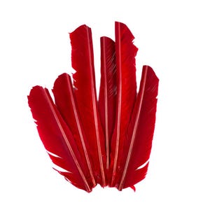 Red Cut Turkey Pointers 8-12&quot; Dyed 6pcs, Turkey Pointer Quills for Costume, Carnival, Halloween, Cosplay and DIY Arts & Crafts ZUCKER®
