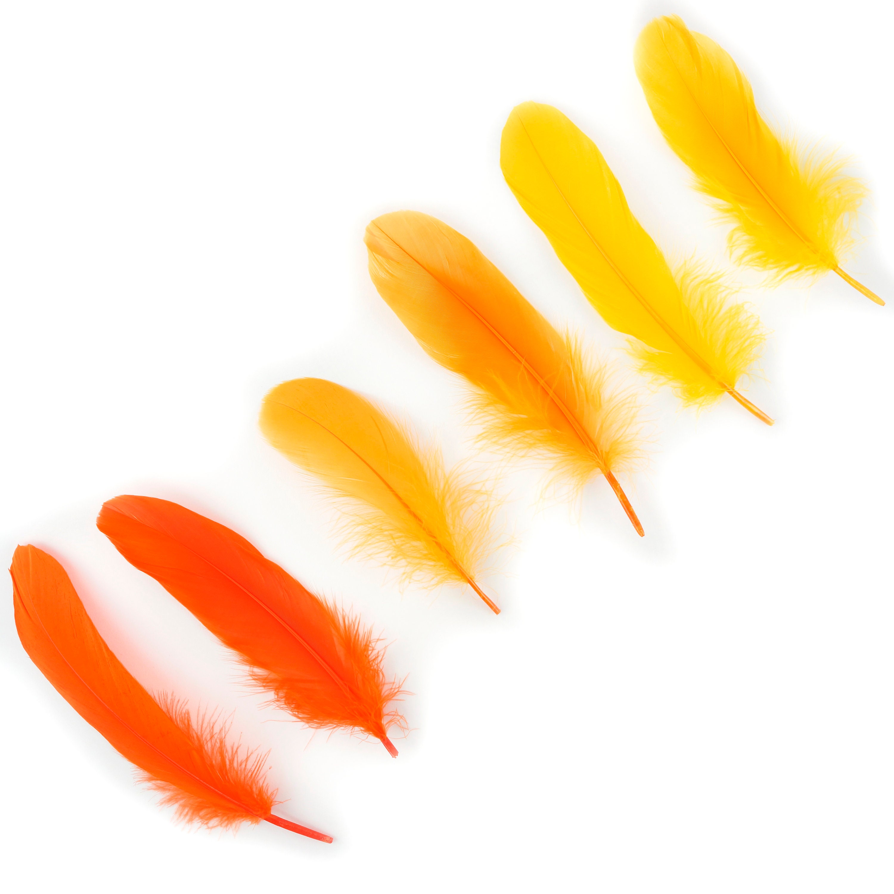 Mixed Dyed Goose Pallet Feathers 12 pieces SUNRISE Goose Feathers