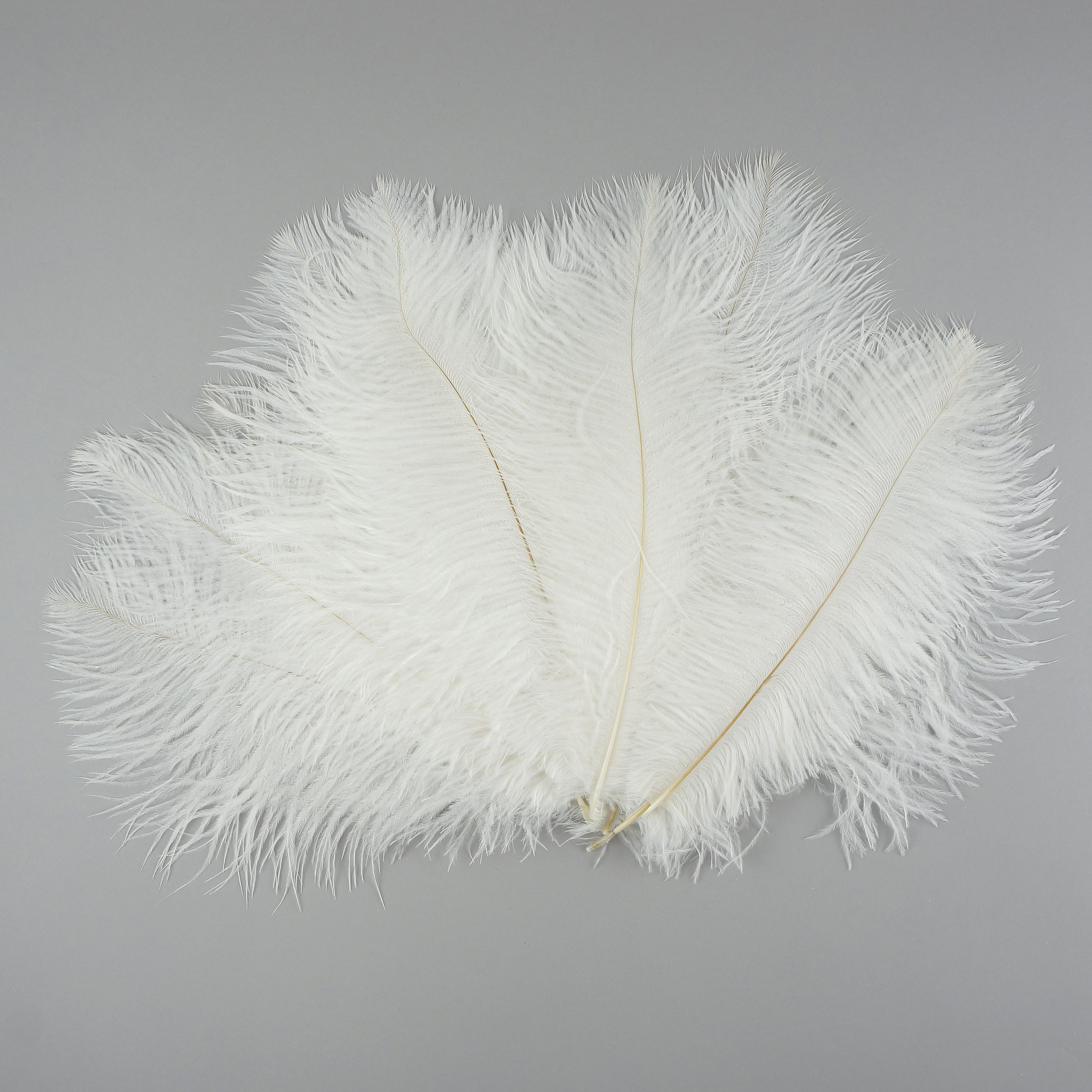 Ostrich drabs on sale