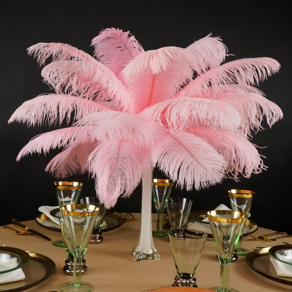 Ostrich Feathers 13-16 CANDY PINK for Feather Centerpieces, Party Decor,  Millinery, Carnival, Fashion & Costume ZUCKER® 