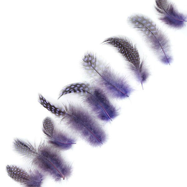 Guinea Feathers, Dyed Lavender 1-4” Guinea Hen Polka Dot Loose Plumage Feathers & Craft Supply ZUCKER®