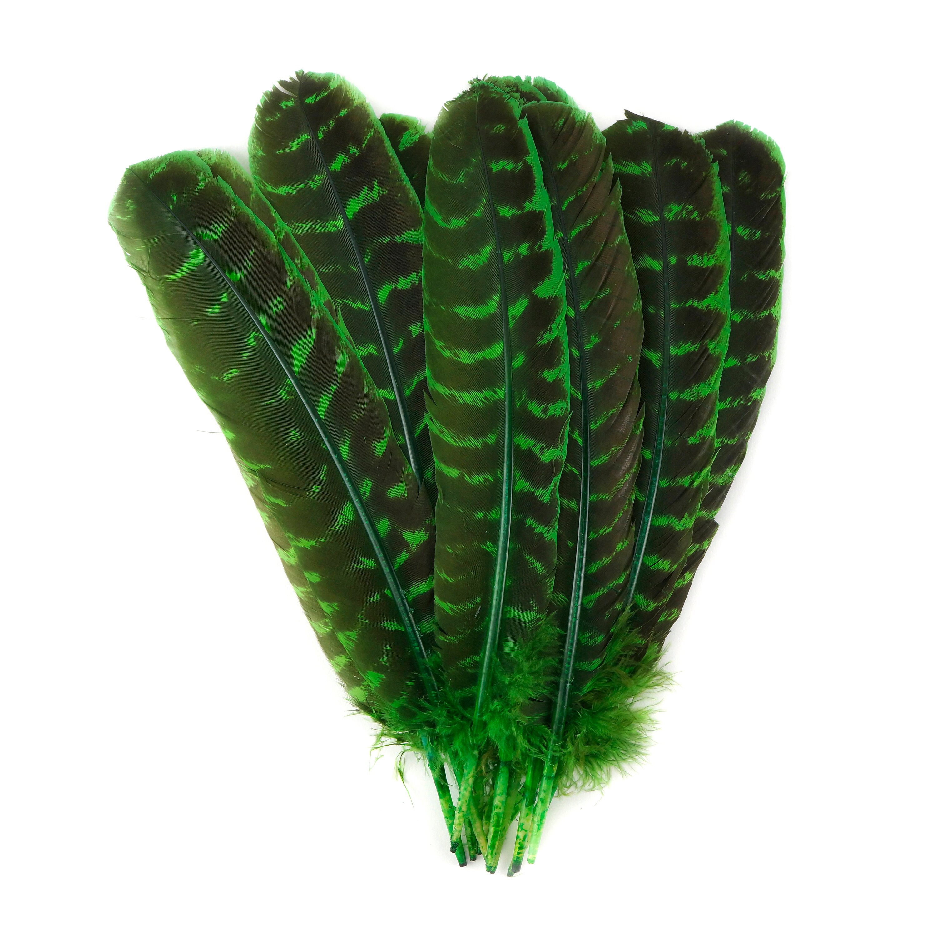 Kelly Green Turkey Feathers