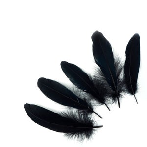 Goose Satinette Feathers, 4-6&quot; Black Loose Goose Feathers, Small Feathers, Art and Craft Supplies ZUCKER®