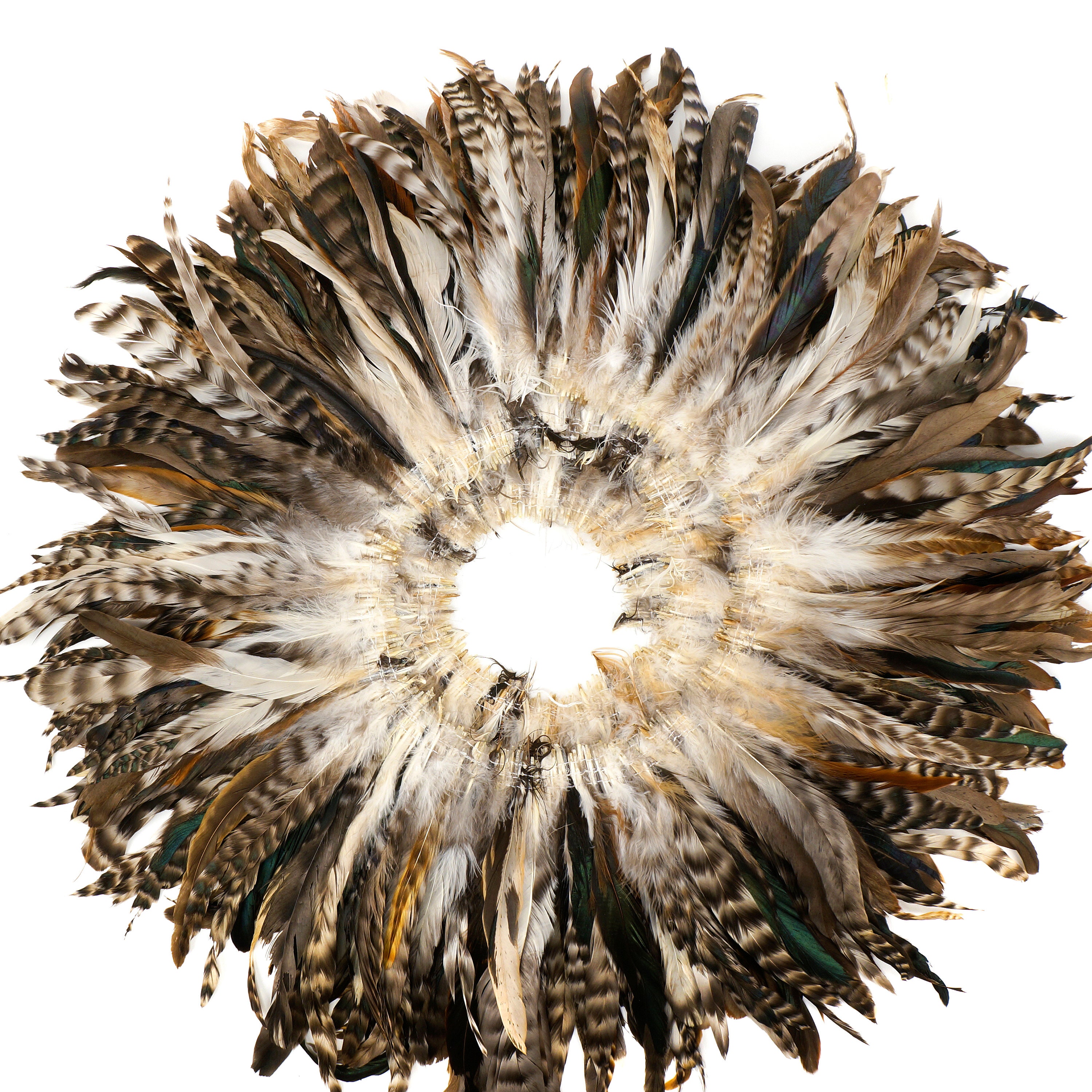 Natural Chinchilla Rooster Feathers, 810 Long Barred Rooster Feathers