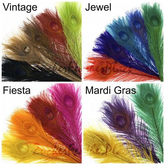 Pheasant Feathers, Natural Almond Pheasant Plumage, Loose Short Natural  Feathers for DIY Jewelry, Crafting & Fly Tying ZUCKER® 