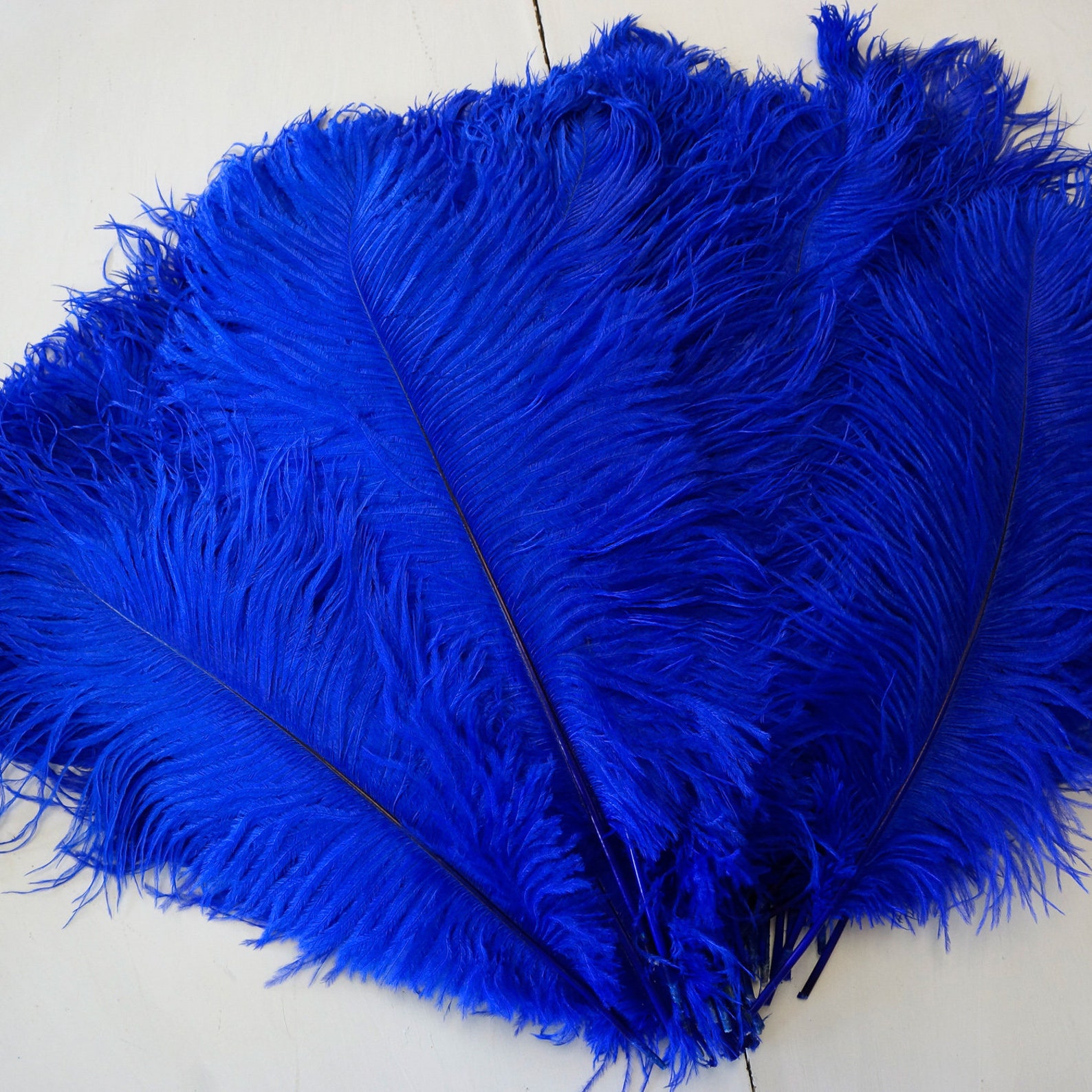 Ostrich Feathers 17-20 ROYAL 1 to 25 Pcs Ostrich - Etsy