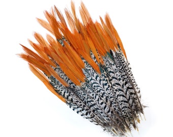 Lady Amherst Pheasant Feathers, 6-8" Natural Pheasant Orange Top, Loose Feathers For Jewelry Making, Crafting and Art Supplies ZUCKER®