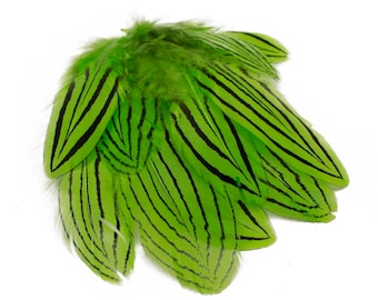 Lime Green Silver Pheasant Plumage, Unique Feathers, 1 DOZEN  2-4", Dyed Silver Pheasant Barred Plumage ZUCKER® Dyed & Sanitized USA