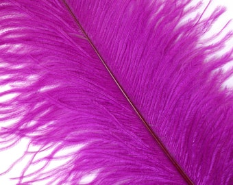 Ostrich Feathers 17-20" Fuschia Purple, 1 to 25 pcs, Ostrich Plumes, Carnival Samba, Ostrich Drab, Mardi Gras, Centerpiece, Fans ZUCKER® USA