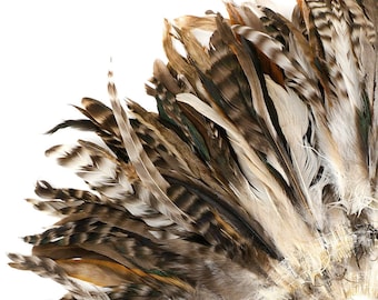 Natural Chinchilla Rooster Feathers, 8-10" Long Barred Rooster Feathers, Strung Bulk Feathers For Carnival & Costume Design ZUCKER®