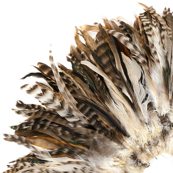 Natural Chinchilla Rooster Feathers, 8-10 Long Barred Rooster